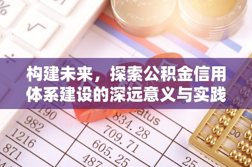 草屯构建未来，探索公积金信用体系建设的深远意义与实践路径