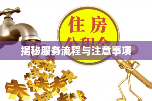 草屯揭秘服务流程与注意事项