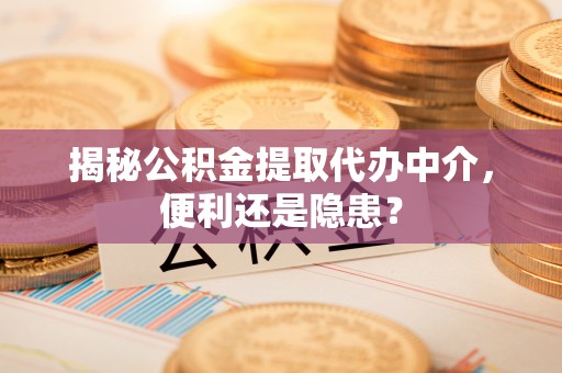 草屯揭秘公积金提取代办中介，便利还是隐患？