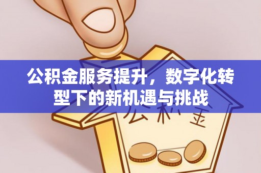 草屯公积金服务提升，数字化转型下的新机遇与挑战