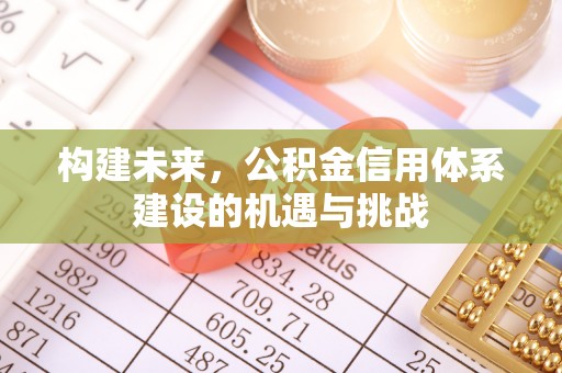 草屯构建未来，公积金信用体系建设的机遇与挑战