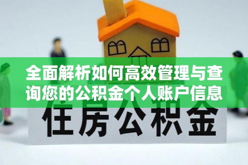 草屯全面解析如何高效管理与查询您的公积金个人账户信息