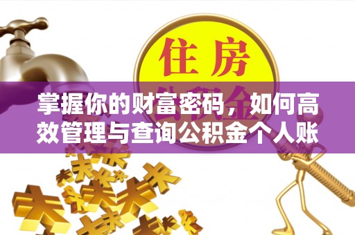 草屯掌握你的财富密码，如何高效管理与查询公积金个人账户信息