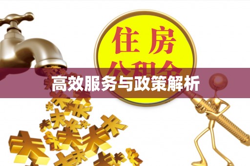 草屯高效服务与政策解析