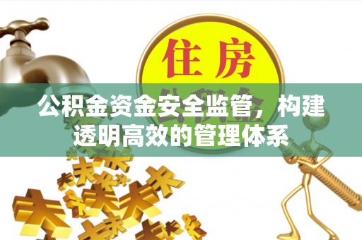 草屯公积金资金安全监管，构建透明高效的管理体系