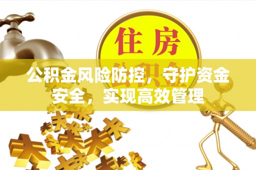 草屯公积金风险防控，守护资金安全，实现高效管理