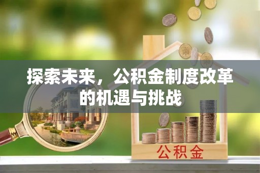 草屯探索未来，公积金制度改革的机遇与挑战