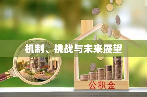 草屯机制、挑战与未来展望
